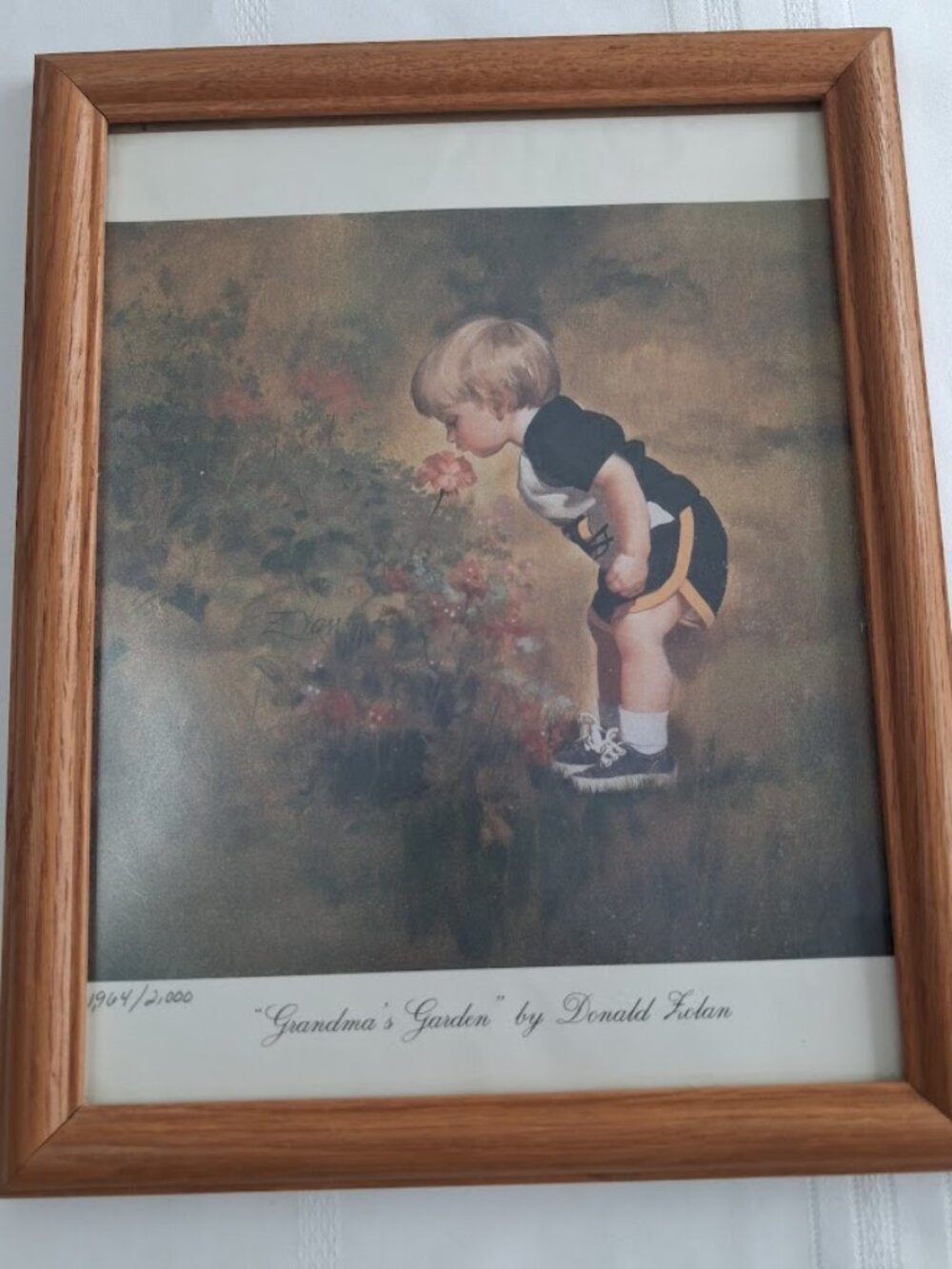 Limited Edition Print 'Grandma's Garden' by Donald Zolan